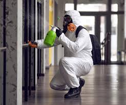 Why You Should Choose Our Mold Remediation Services in Homeland, GA